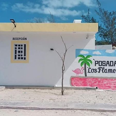 Posada Los Flamencos Las Coloradas Yucatan Yuluc Exteriör bild